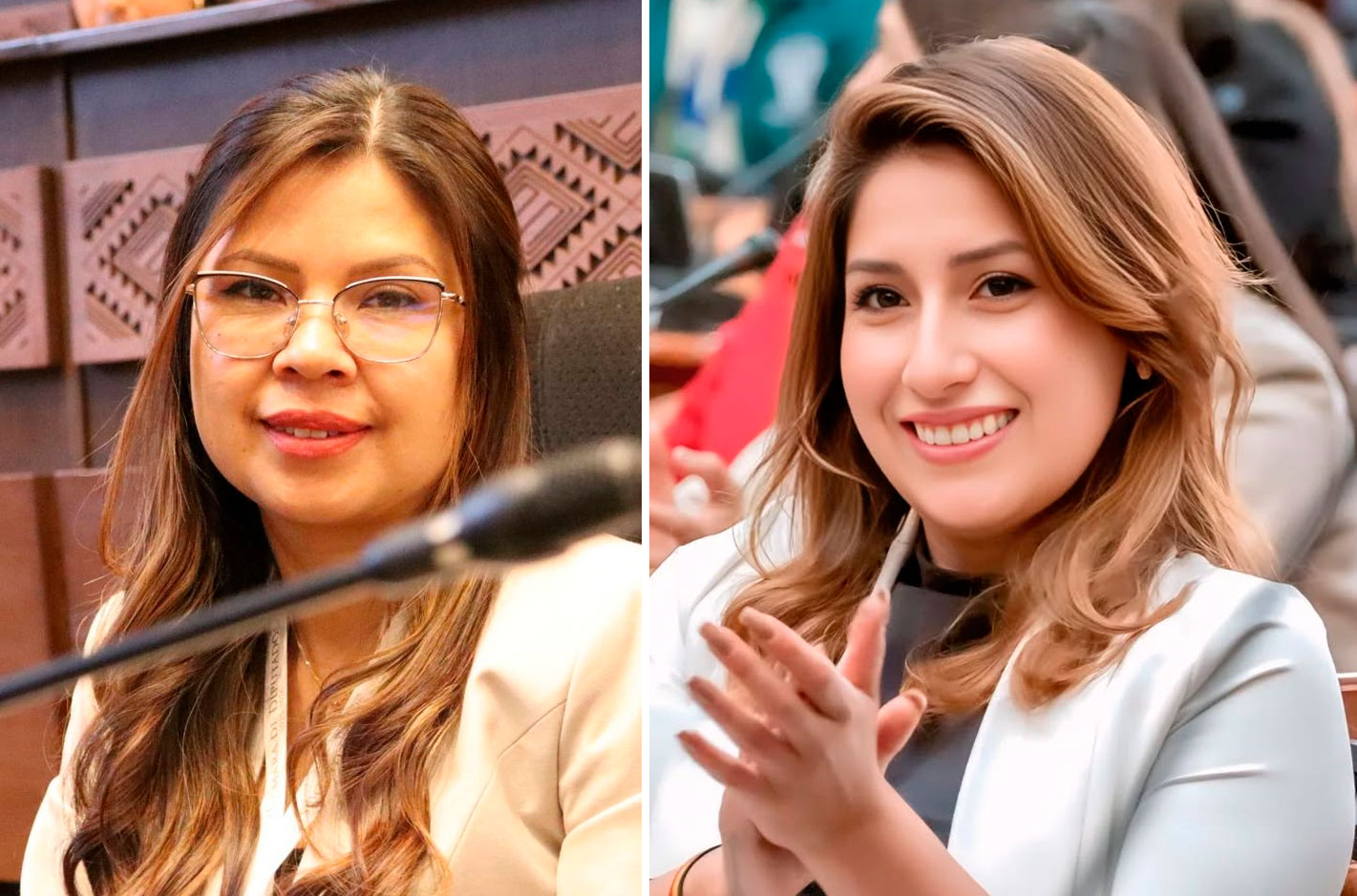 Diputada Romero denuncia a su colega Sofía Rocha por...